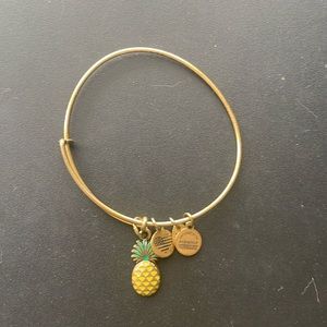 Alex & Ani Bracelet